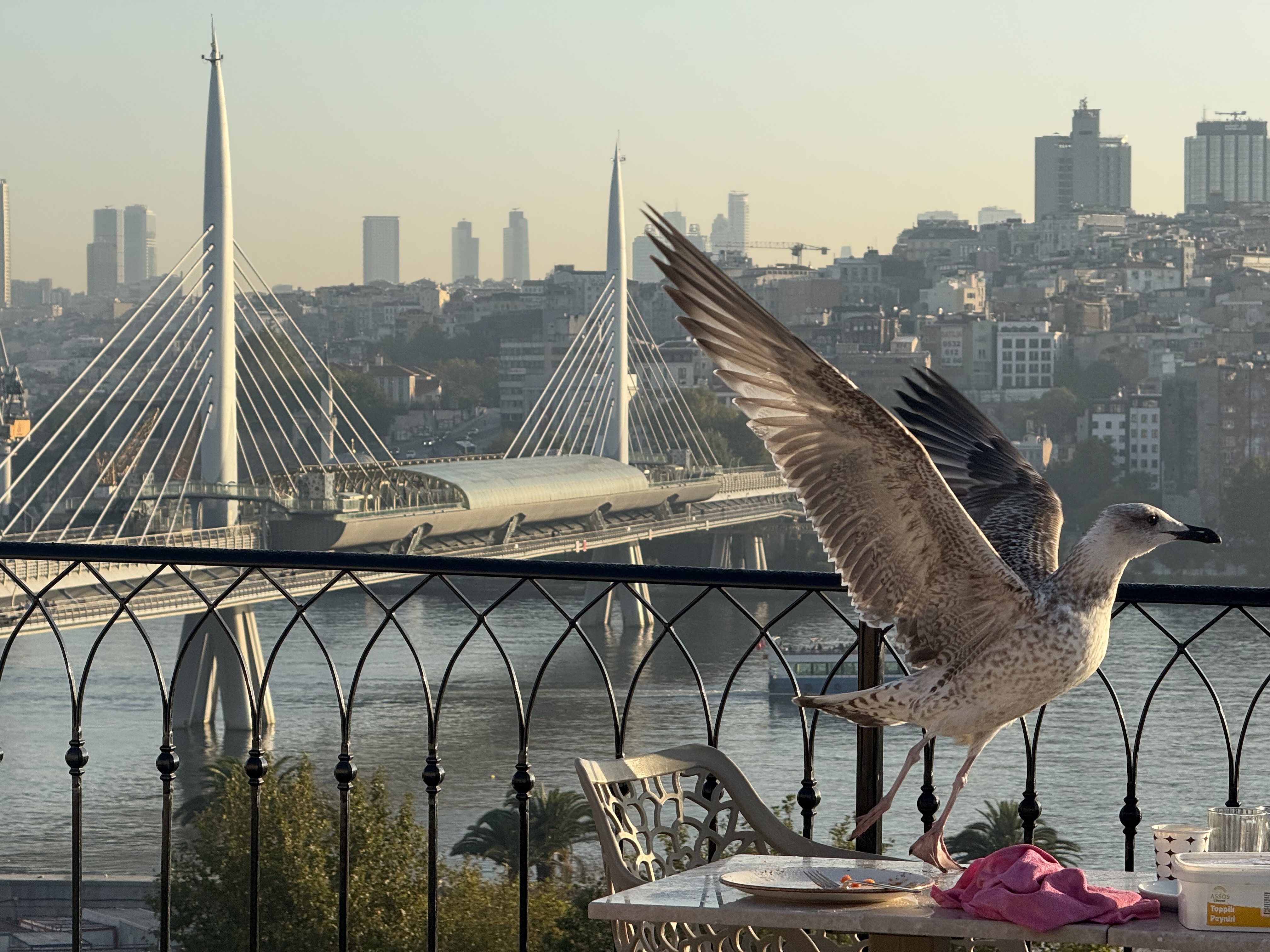 265 km Through Turkey: My Journey from Edirne to Istanbul